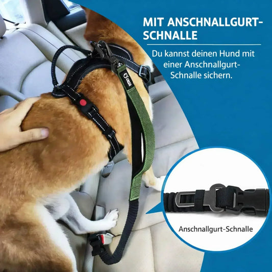 Hundeleine Auto 6-in-1 Nylon Multifunktional - CarPup