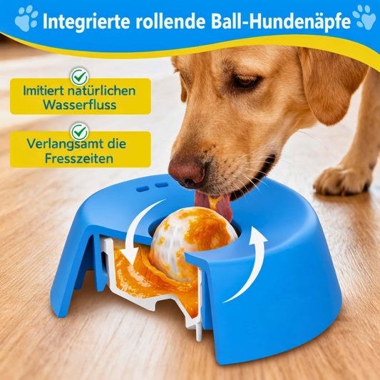Leckschale Hund Anti Schling Napf Slow Feeder - CarPup